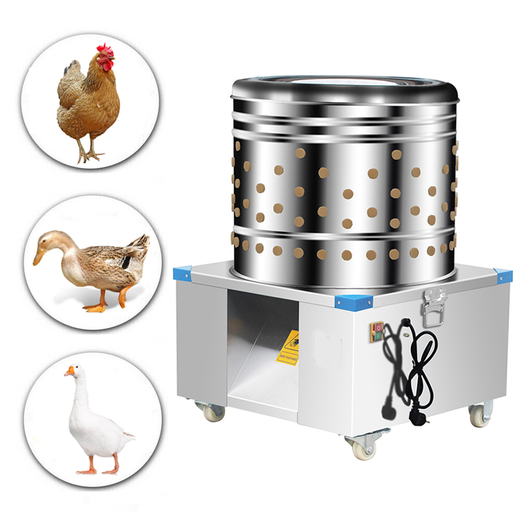 Beliebte 60-cm-Fass-Hähnchen-  – Chicken Plucker Machine Bewertung und Preis