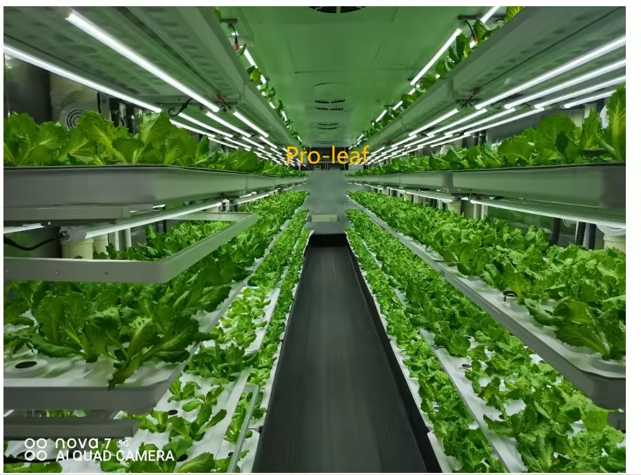f Gewächshaus, landwirtschaftl – Agriculture Farming System Bewertung und Preis