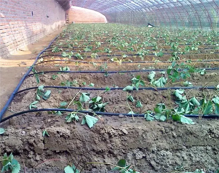1HA Bewässerungsset Landwirtsc – Agriculture Farming System Bewertung und Preis